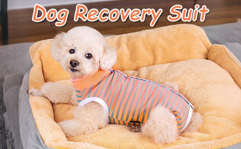 Dog Recovery Suit,Orange