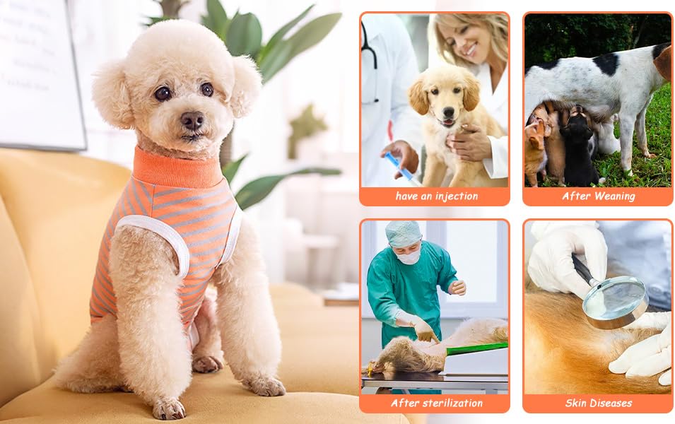 Dog Recovery Suit,Orange