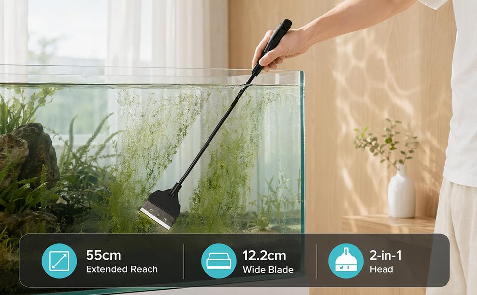 Fish tank algae scraper