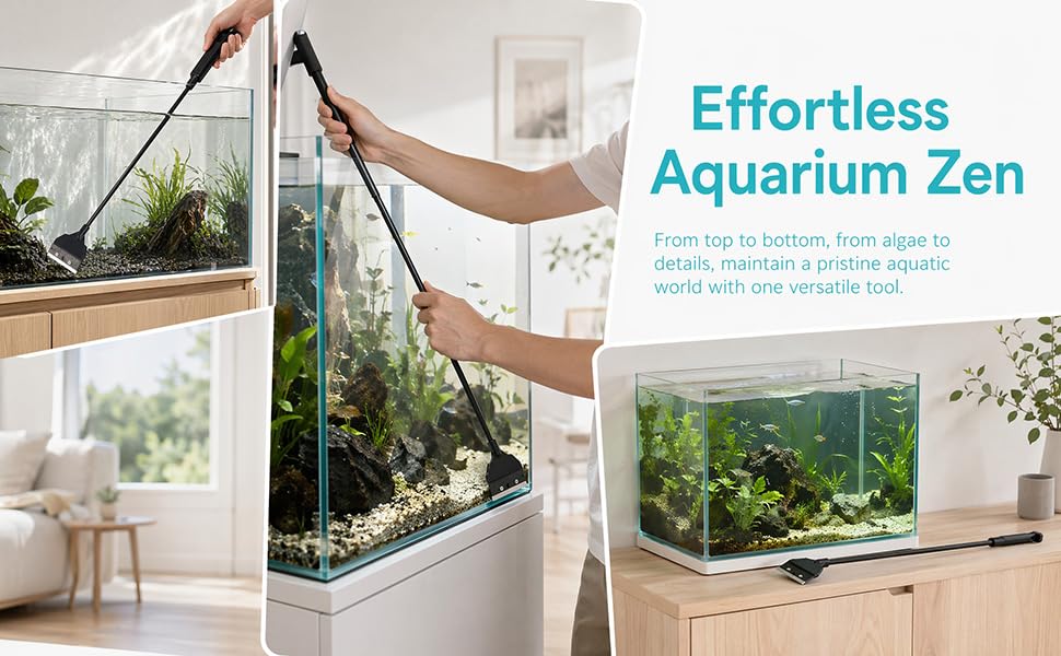 Fish tank algae scraper