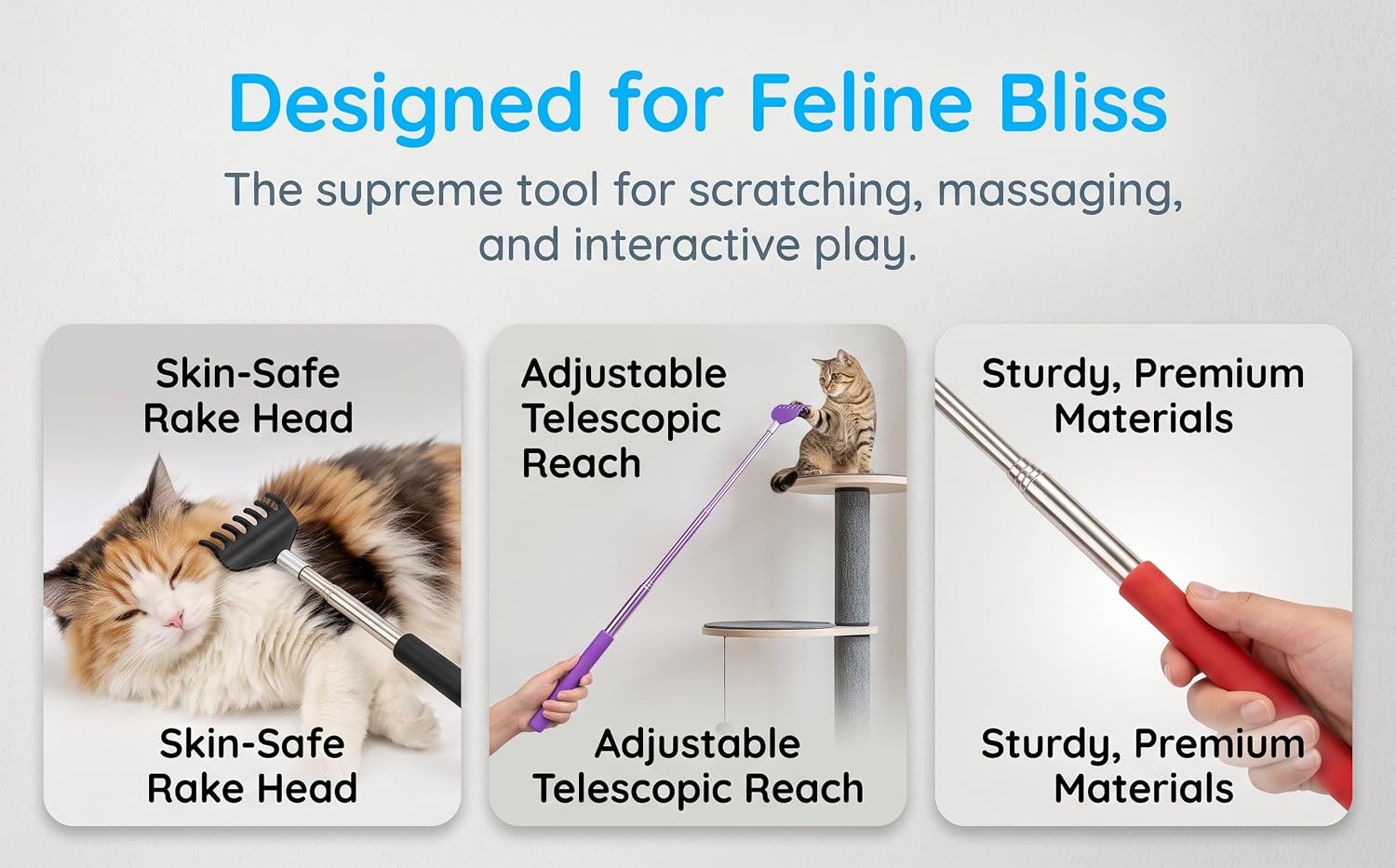 Designed for Feline Bliss 